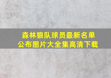 森林狼队球员最新名单公布图片大全集高清下载