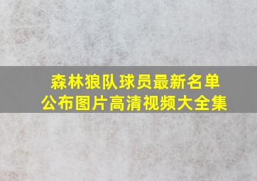 森林狼队球员最新名单公布图片高清视频大全集