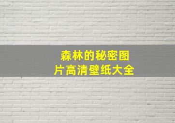 森林的秘密图片高清壁纸大全