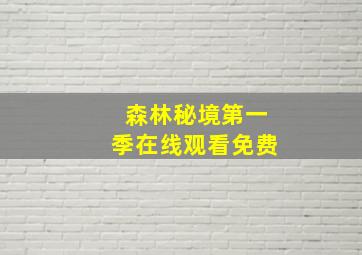 森林秘境第一季在线观看免费