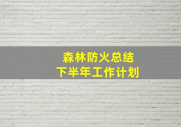 森林防火总结下半年工作计划