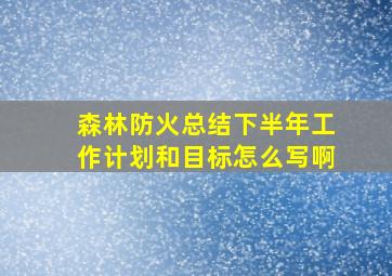 森林防火总结下半年工作计划和目标怎么写啊