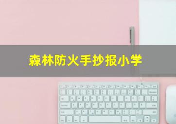 森林防火手抄报小学