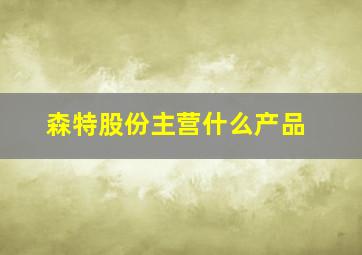 森特股份主营什么产品