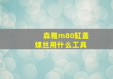 森雅m80缸盖螺丝用什么工具