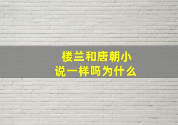 楼兰和唐朝小说一样吗为什么