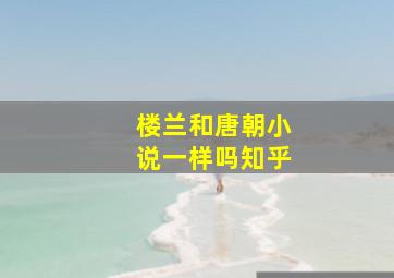 楼兰和唐朝小说一样吗知乎