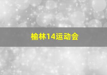 榆林14运动会