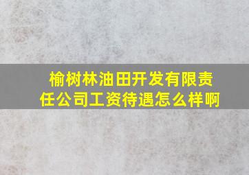 榆树林油田开发有限责任公司工资待遇怎么样啊