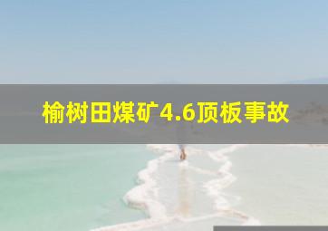 榆树田煤矿4.6顶板事故