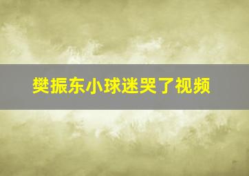 樊振东小球迷哭了视频