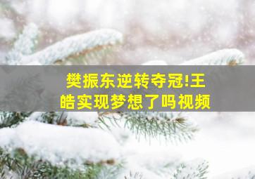 樊振东逆转夺冠!王皓实现梦想了吗视频