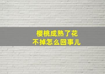 樱桃成熟了花不掉怎么回事儿