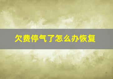 欠费停气了怎么办恢复