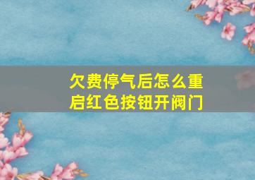 欠费停气后怎么重启红色按钮开阀门