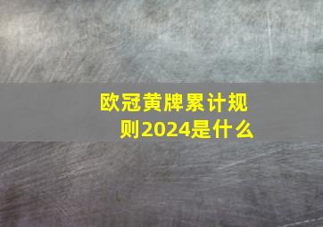 欧冠黄牌累计规则2024是什么