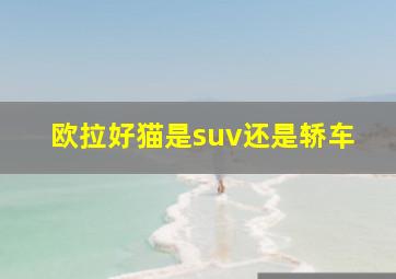 欧拉好猫是suv还是轿车