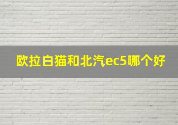 欧拉白猫和北汽ec5哪个好