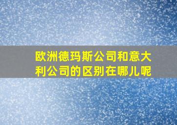 欧洲德玛斯公司和意大利公司的区别在哪儿呢