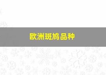 欧洲斑鸠品种