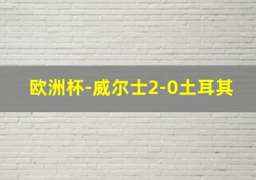 欧洲杯-威尔士2-0土耳其