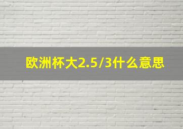 欧洲杯大2.5/3什么意思