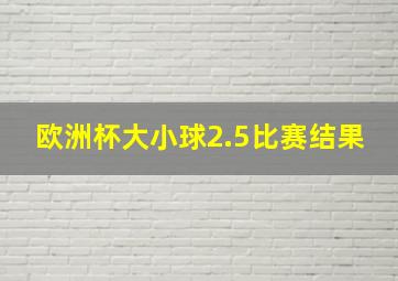 欧洲杯大小球2.5比赛结果