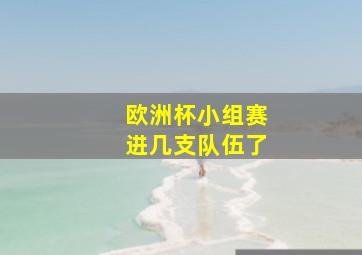 欧洲杯小组赛进几支队伍了