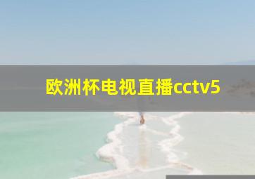 欧洲杯电视直播cctv5