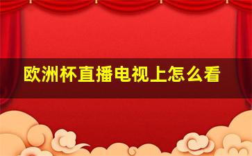 欧洲杯直播电视上怎么看