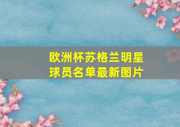 欧洲杯苏格兰明星球员名单最新图片