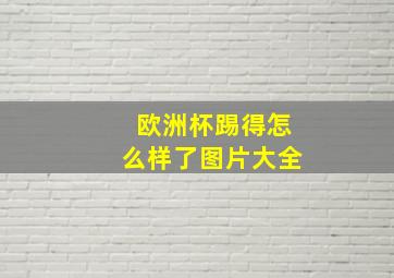 欧洲杯踢得怎么样了图片大全