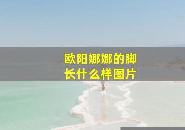 欧阳娜娜的脚长什么样图片