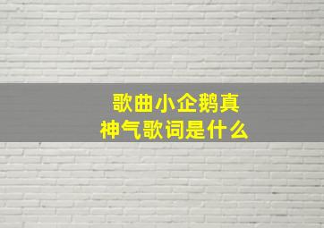 歌曲小企鹅真神气歌词是什么