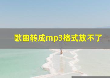 歌曲转成mp3格式放不了