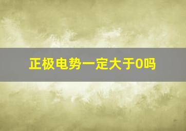 正极电势一定大于0吗