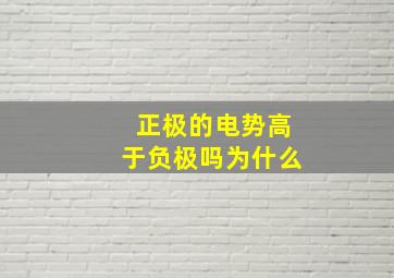 正极的电势高于负极吗为什么