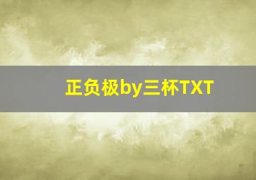 正负极by三杯TXT