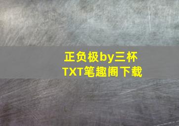 正负极by三杯TXT笔趣阁下载