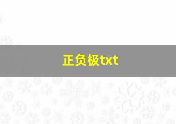 正负极txt