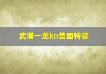 武僧一龙ko美国特警