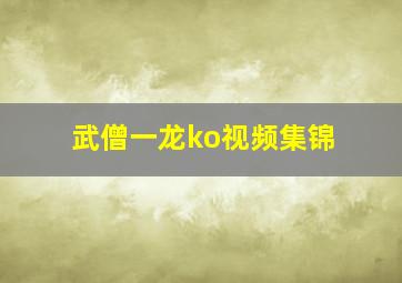 武僧一龙ko视频集锦