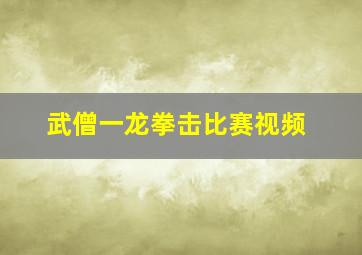 武僧一龙拳击比赛视频