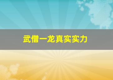 武僧一龙真实实力