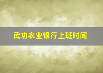 武功农业银行上班时间