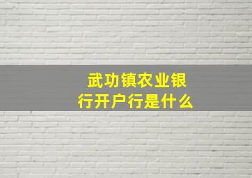 武功镇农业银行开户行是什么