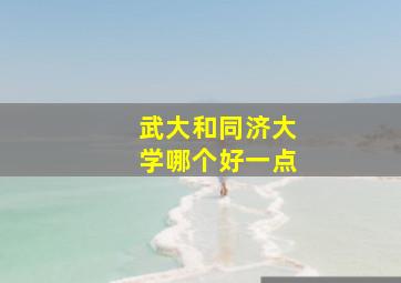 武大和同济大学哪个好一点