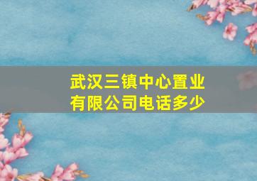 武汉三镇中心置业有限公司电话多少