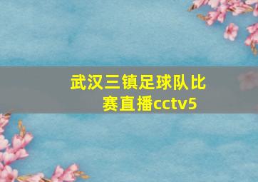 武汉三镇足球队比赛直播cctv5