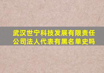 武汉世宁科技发展有限责任公司法人代表有黑名单史吗